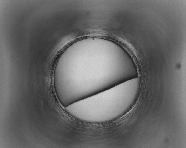 X0000098041407200803280743