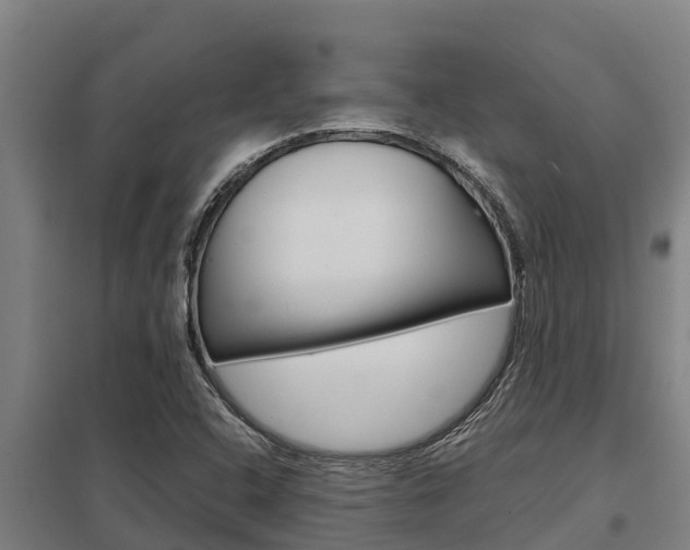 X0000098041408200803280743