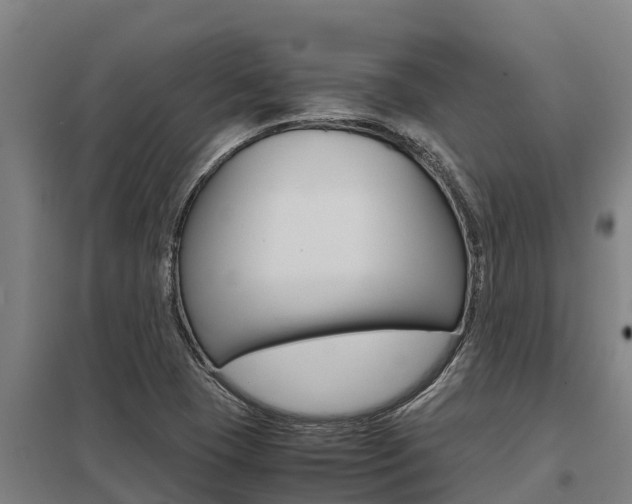 X0000098041409200803280743