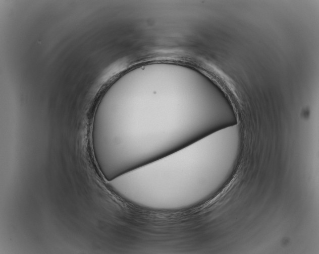 X0000098041411200803280743