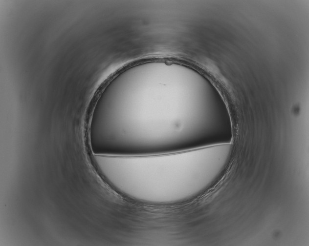 X0000098041412200803280743
