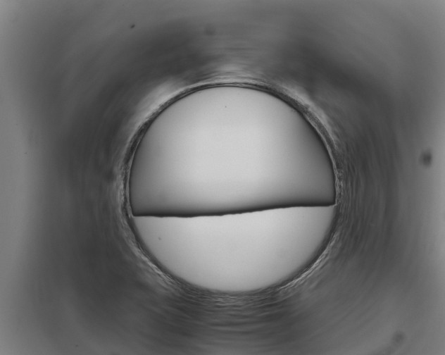 X0000098041415200803280743