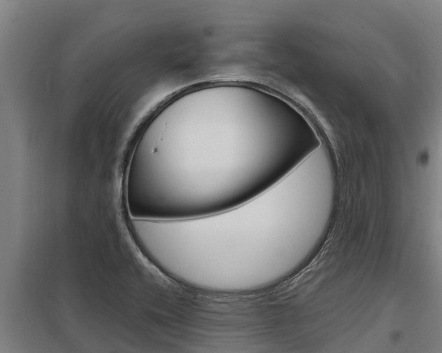 X0000098041416200803280743