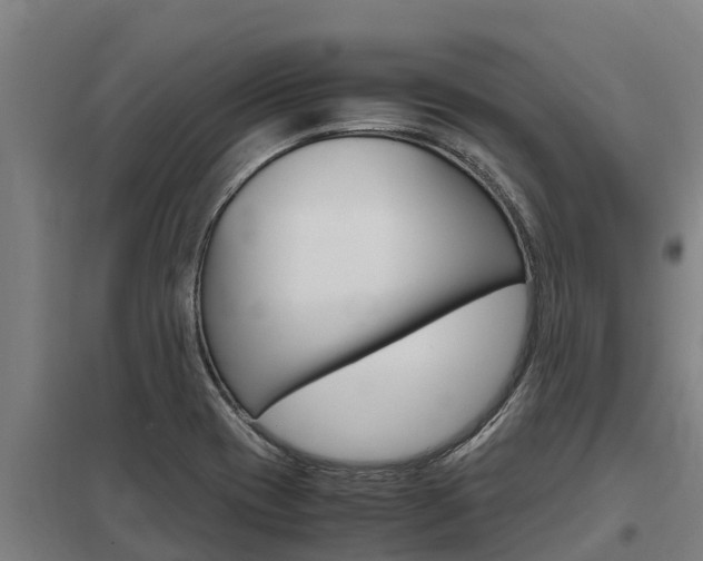 X0000098041417200803280743