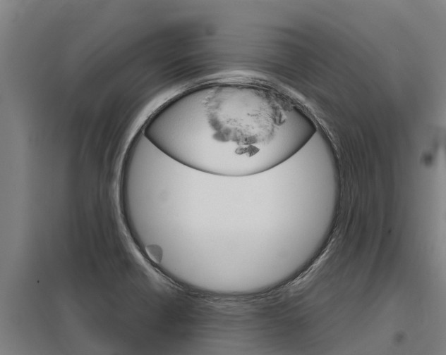 X0000098041418200803280743
