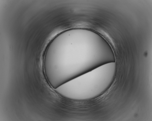 X0000098041419200803280743