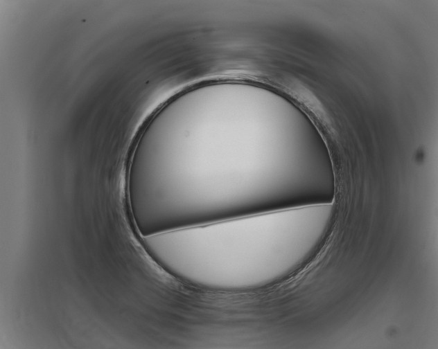 X0000098041420200803280743