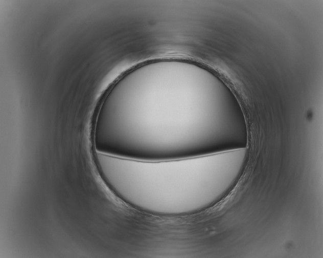 X0000098041422200803280743