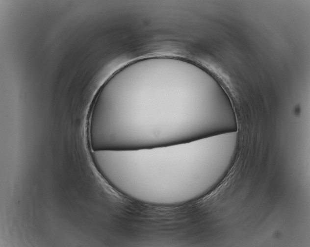 X0000098041423200803280743