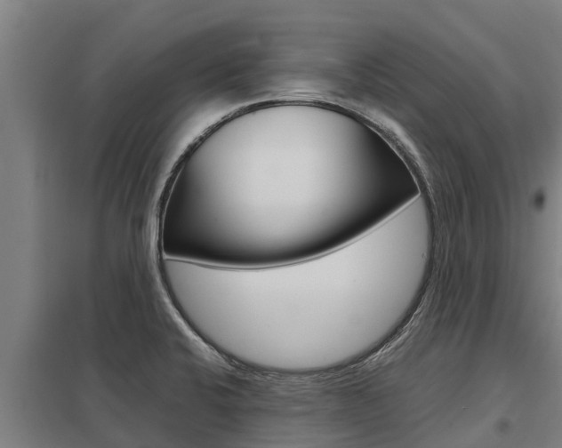 X0000098041424200803280743