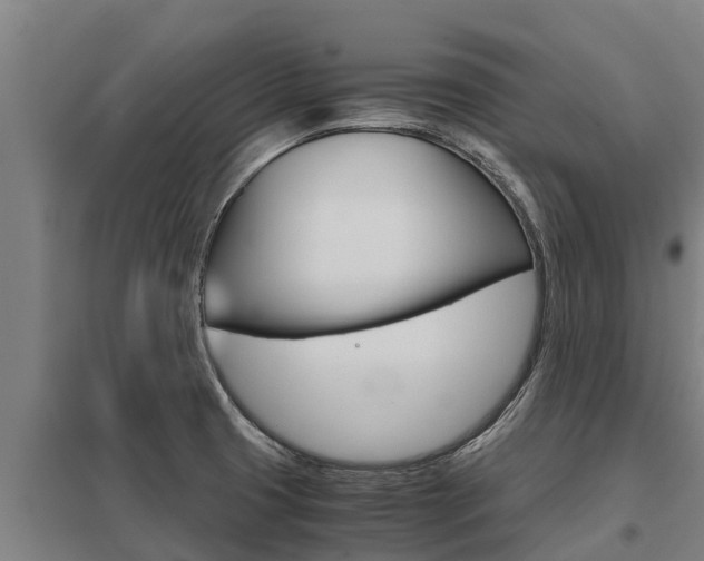 X0000098041425200803280743