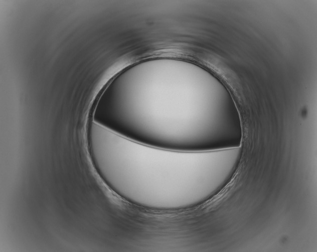 X0000098041426200803280743
