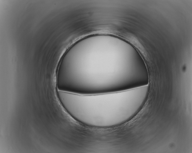 X0000098041428200803280743
