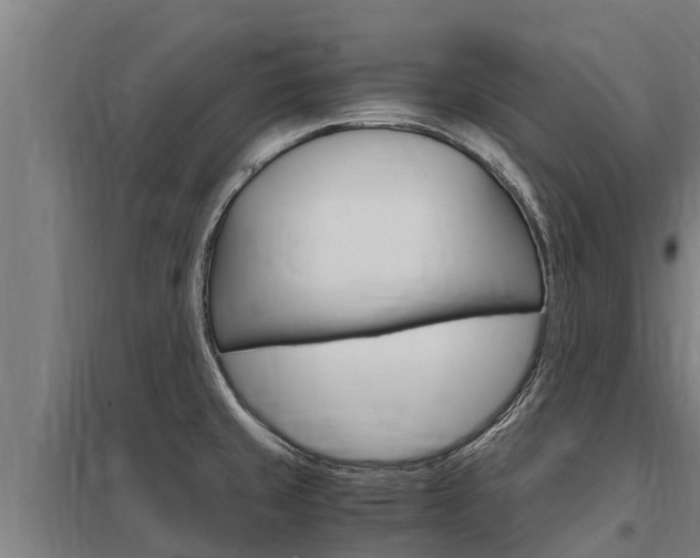 X0000098041429200803280743