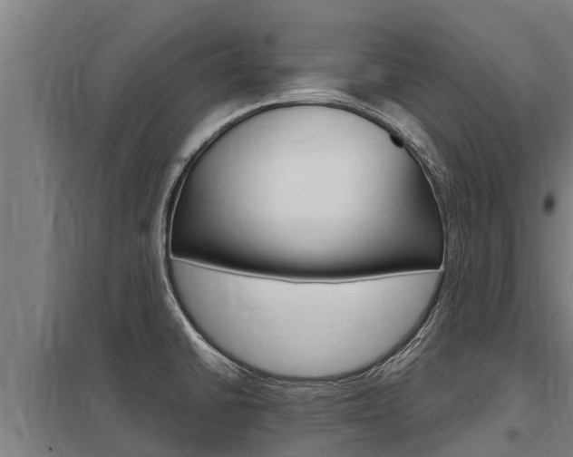 X0000098041430200803280744