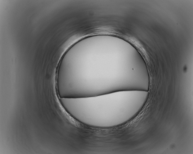 X0000098041431200803280744