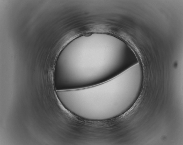 X0000098041433200803280744