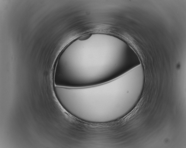 X0000098041434200803280744