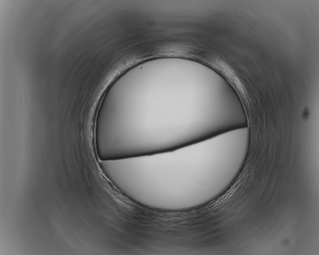 X0000098041435200803280744