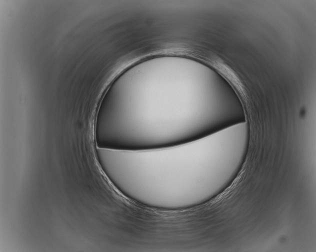 X0000098041436200803280744