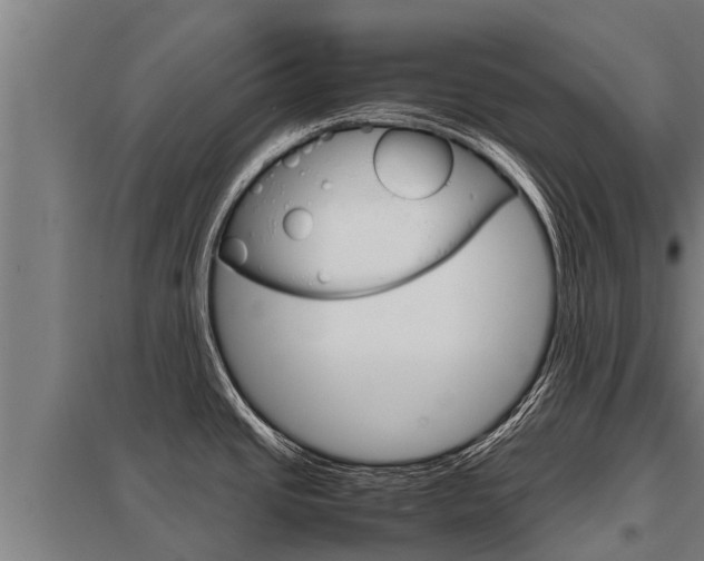 X0000098041437200803280744