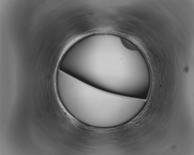 X0000098041440200803280744