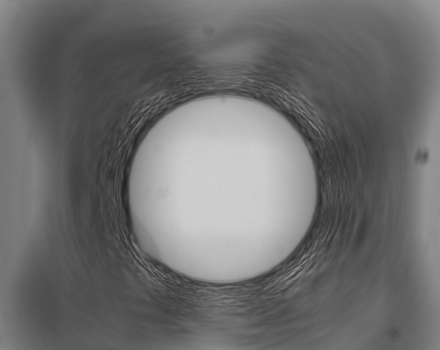 X0000098041441200803280743