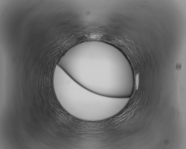 X0000098041443200803280743