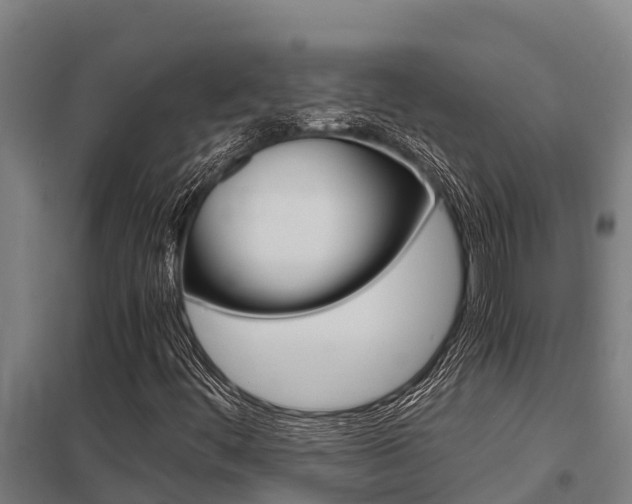 X0000098041444200803280743