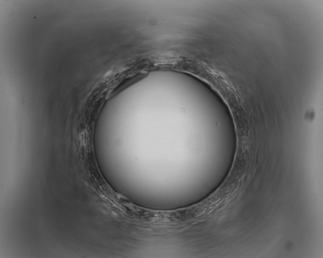 X0000098041445200803280743