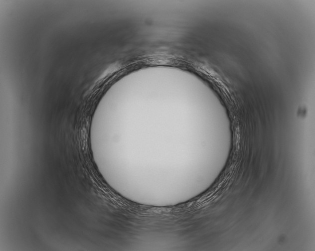X0000098041446200803280743