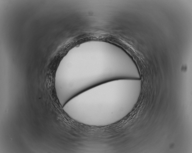 X0000098041447200803280743