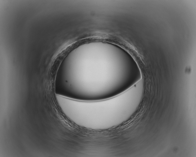 X0000098041448200803280743