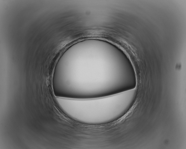X0000098041449200803280743