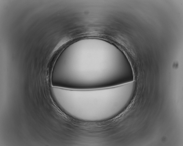X0000098041450200803280743