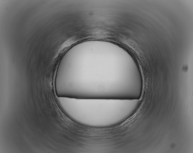 X0000098041451200803280743