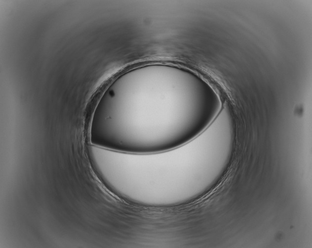 X0000098041452200803280743