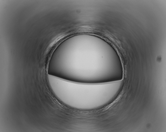 X0000098041453200803280743