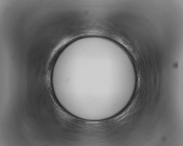 X0000098041454200803280743