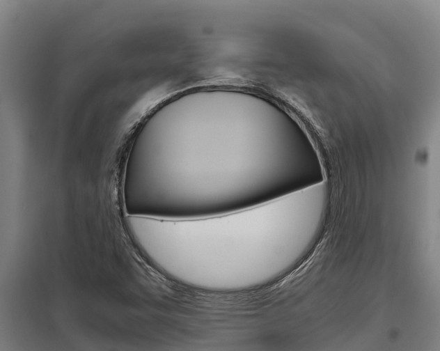 X0000098041455200803280743