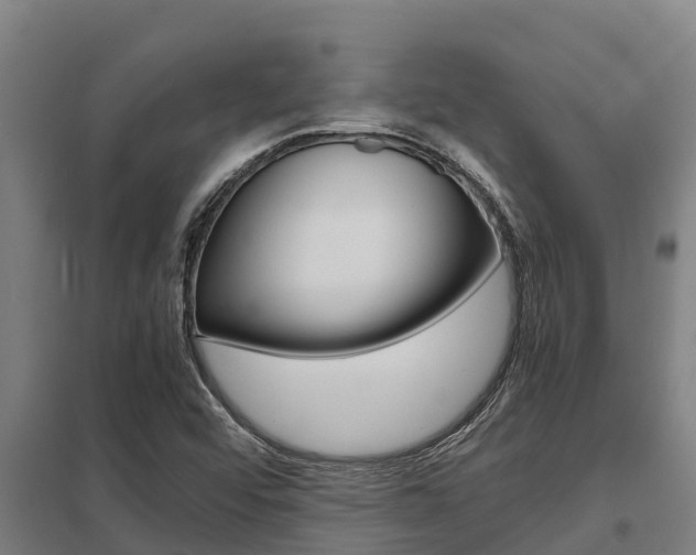 X0000098041456200803280743
