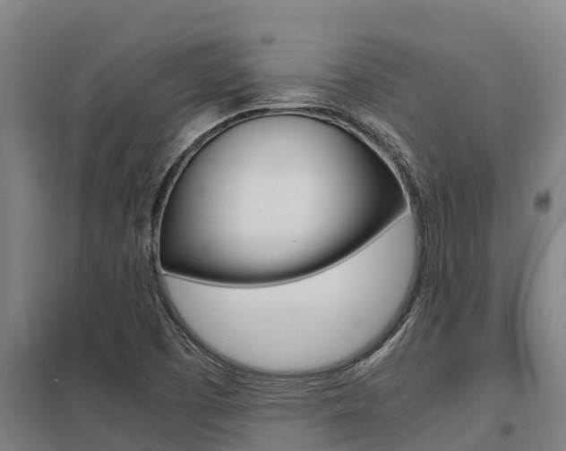 X0000098041457200803280743