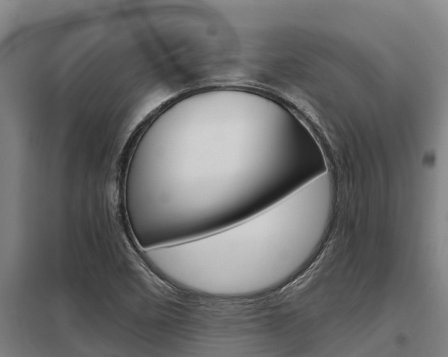 X0000098041458200803280743
