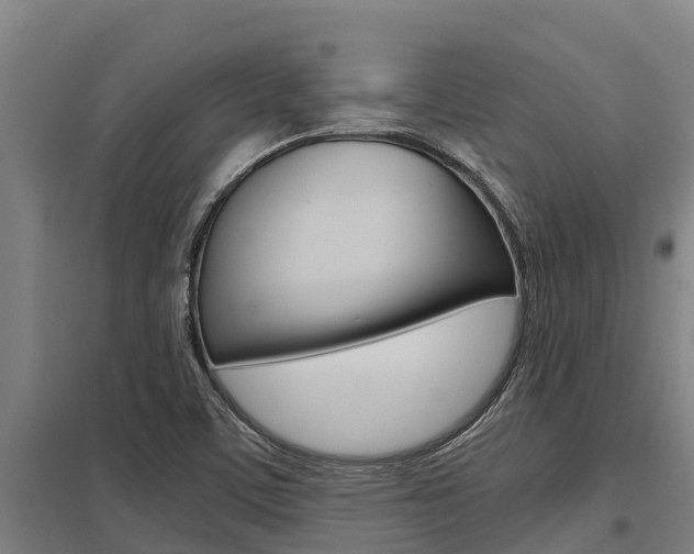 X0000098041459200803280743