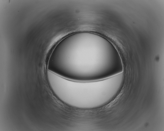 X0000098041461200803280743