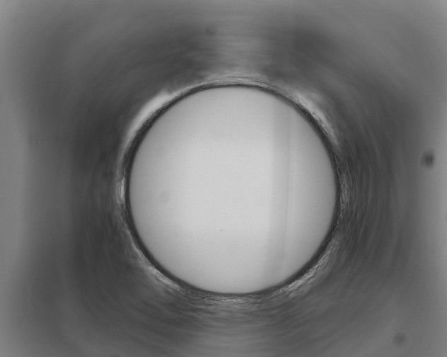 X0000098041462200803280743
