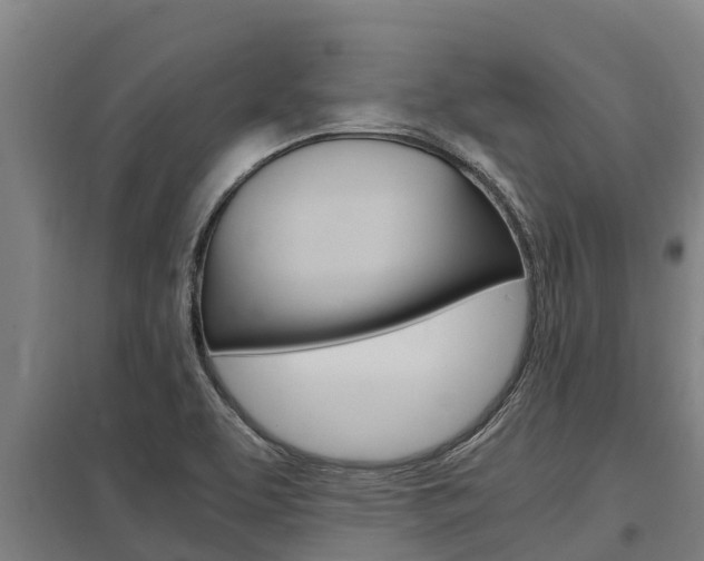 X0000098041463200803280743