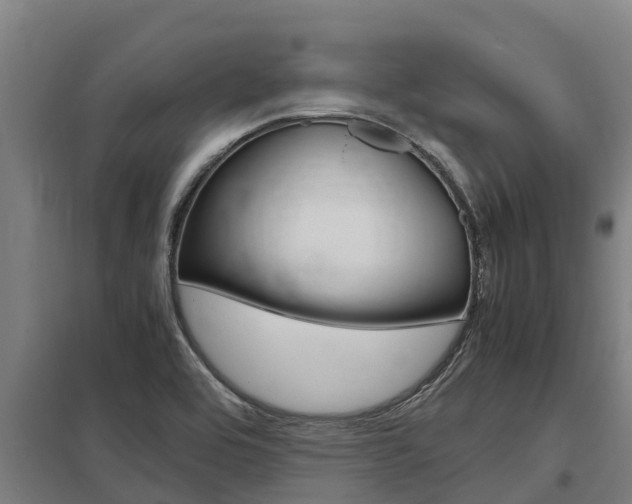 X0000098041464200803280743