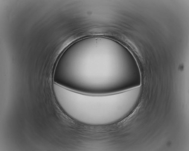 X0000098041465200803280743