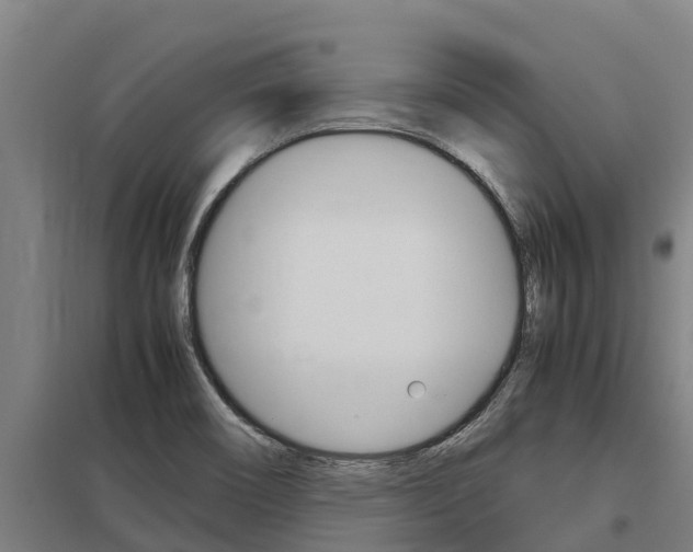 X0000098041466200803280743